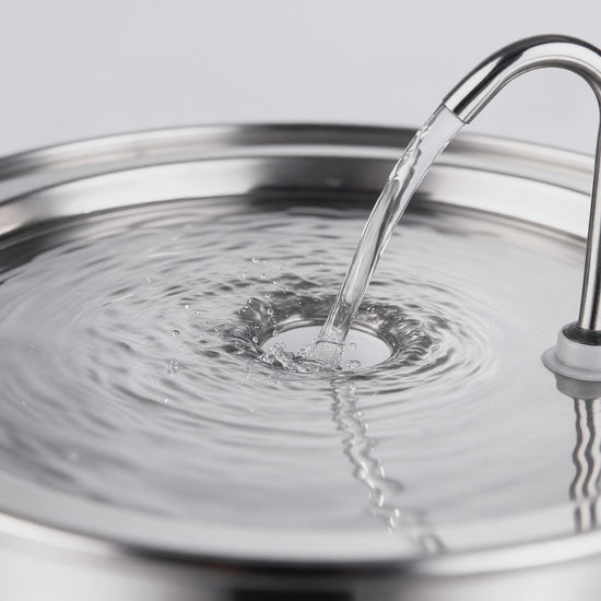 Wasser läuft aus dem Bogenauslauf der Tatzenquelle in die offene Trinkfläche