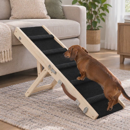 Dackel läuft die Sofapfad™ Holzrampe zum Sofa hoch