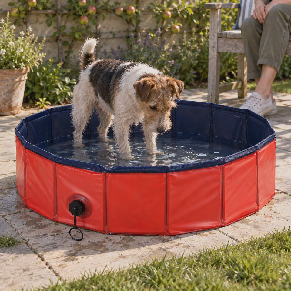 Hund planscht und schüttelt sich im Tatzenpool™