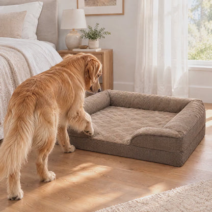 Golden Retriever steigt auf die Tatzenlounge™ und legt sich hin