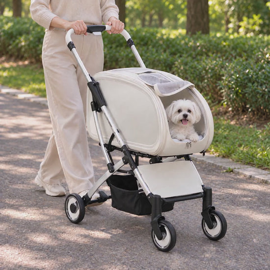 Spaziergang mit dem Tatzenbuggy™, der Hund schaut vorne heraus