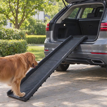 Golden Retriever läuft über die Tatzenrampe™ in den Kofferraum