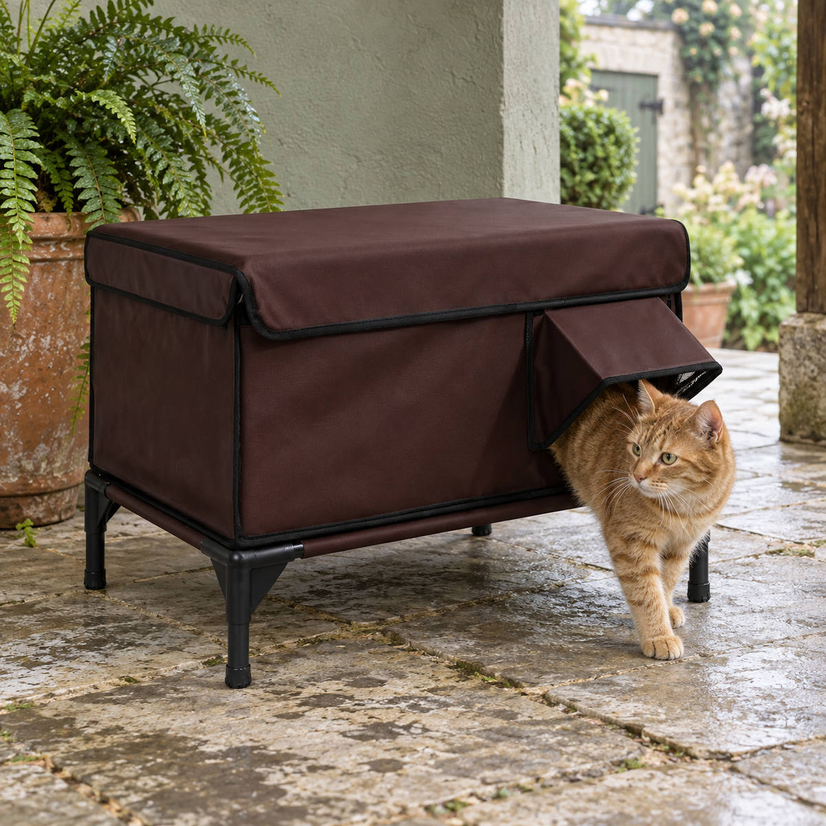 Katze verlässt die kaffeebraune Tatzenhütte auf einer geschützten Terrasse