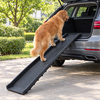 Hund auf der schwarzen Tatzenrampe™ beim Einstieg ins Auto