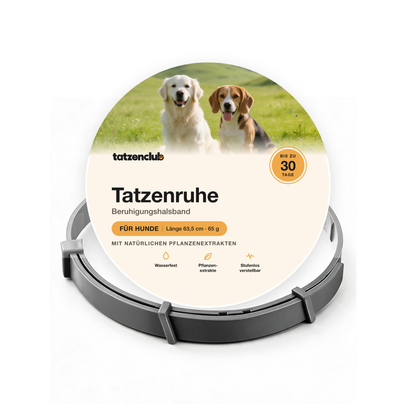 Tatzenruhe Beruhigungshalsband für Hunde in Grau mit runder Tatzenclub-Verpackung