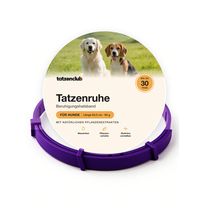 Tatzenruhe Beruhigungshalsband für Hunde in Lila mit runder Tatzenclub-Verpackung