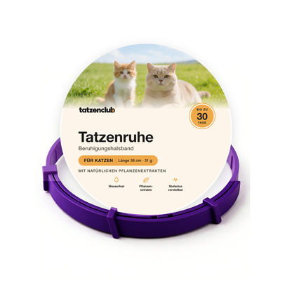 Tatzenruhe Beruhigungshalsband für Katzen in Lila mit runder Tatzenclub-Verpackung