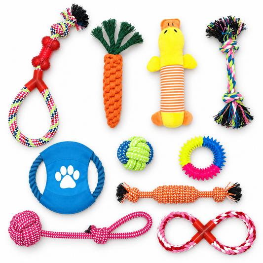 Tatzenspaß Hundespielzeug-Set mit allen zehn Teilen auf weißem Hintergrund