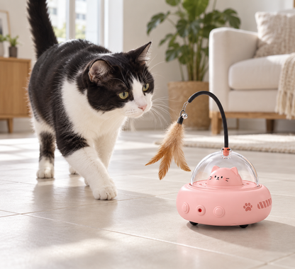 Schwarz-weiße Katze erkundet den rosa Tatzenwirbel auf glattem Boden